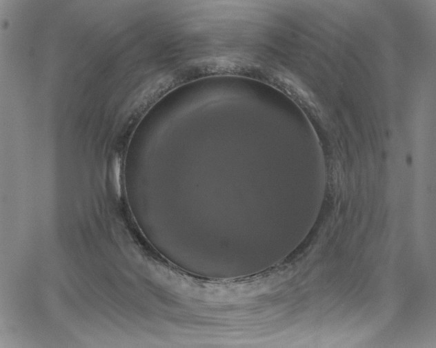 X0000064740022200602101159