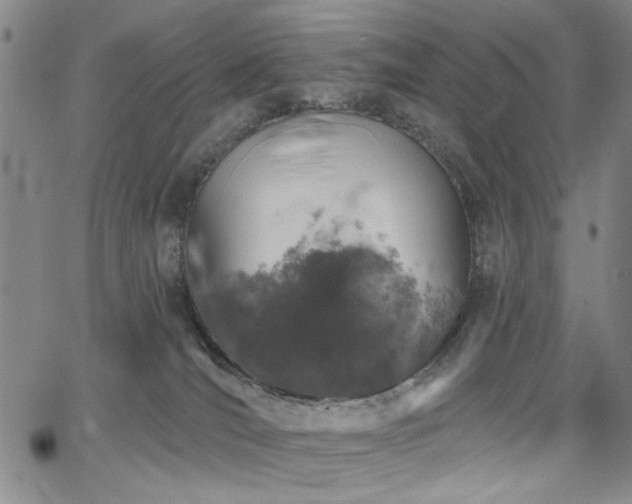 X0000064740036200602101159