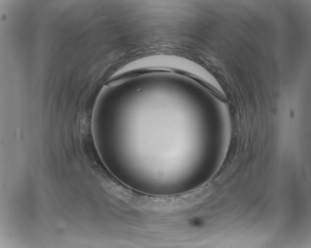 X0000064740037200602101159