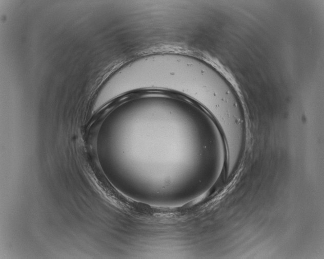 X0000064740057200602101158