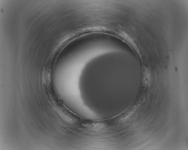 X0000064740063200602101158
