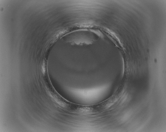 X0000064740069200602101158