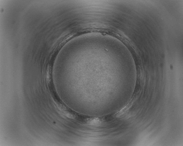 X0000064740074200602101158