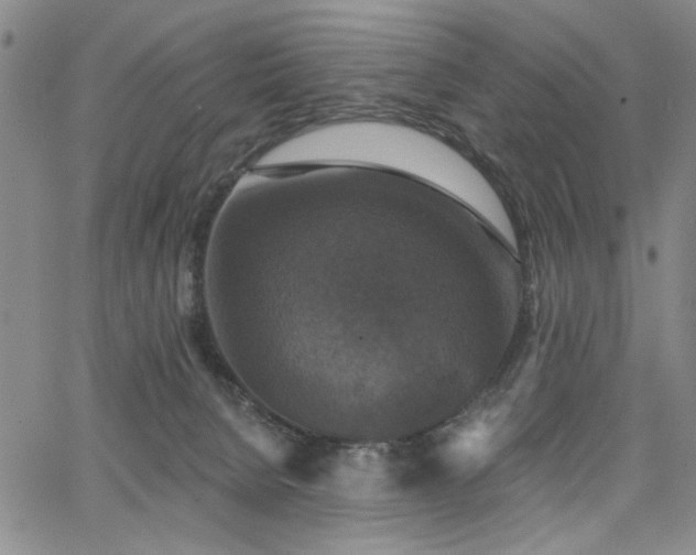 X0000064740080200602101158