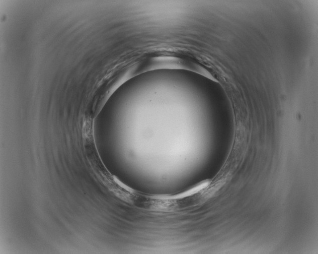 X0000064740096200602101158