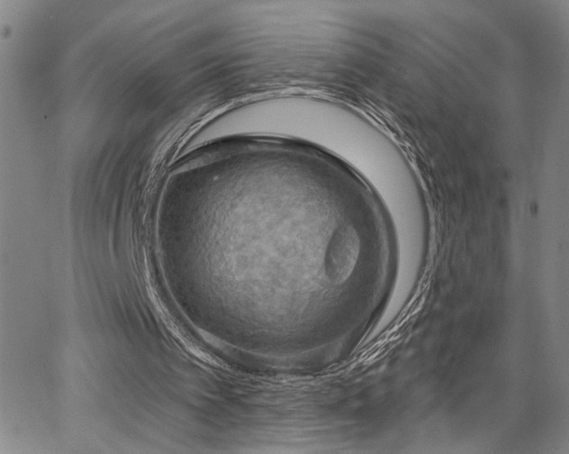 X0000064740097200602101158