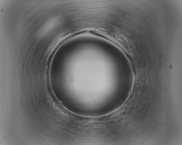 X0000064740098200602101158