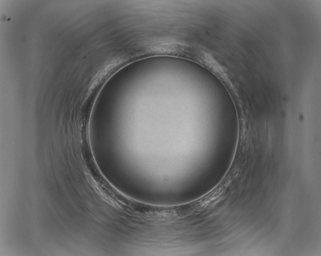 X0000064740106200602101157