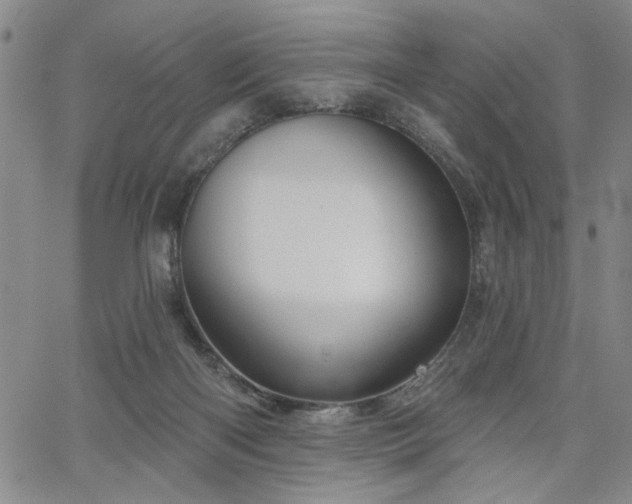 X0000064740122200602101157