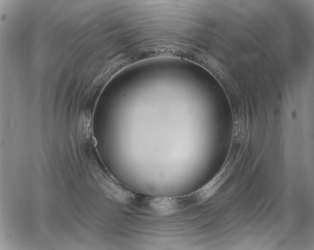 X0000064740142200602101157