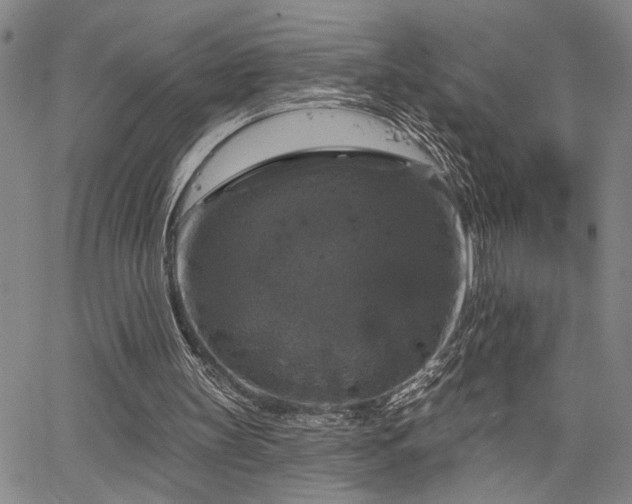 X0000064740147200602101156