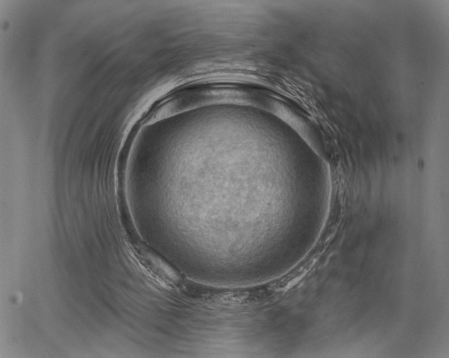 X0000064740148200602101156