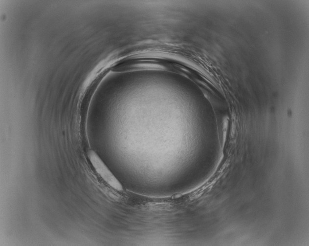 X0000064740150200602101156