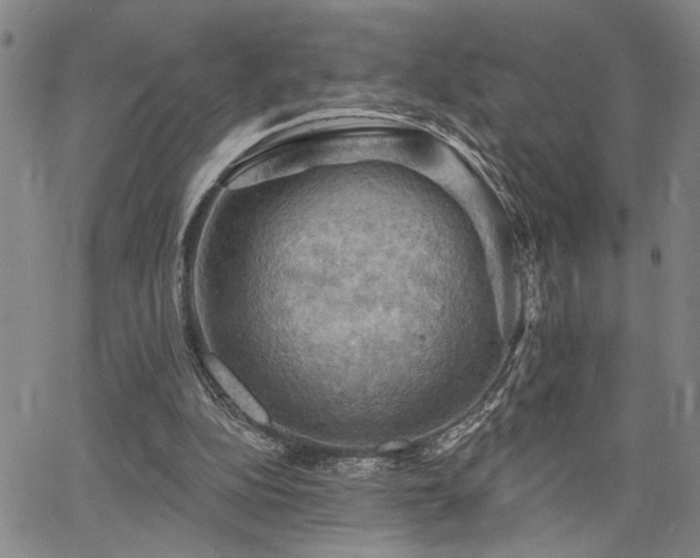 X0000064740152200602101156