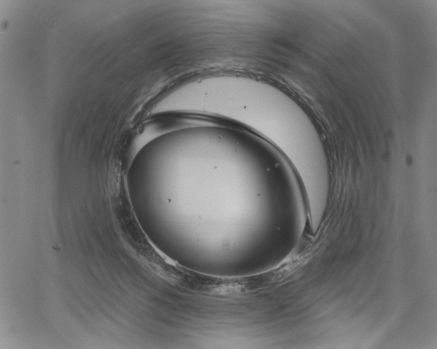 X0000064740168200602101156