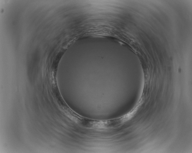 X0000064740182200602101157