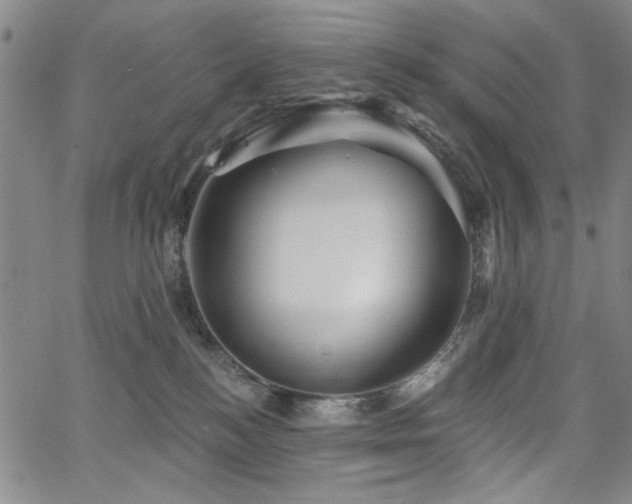 X0000064740184200602101157