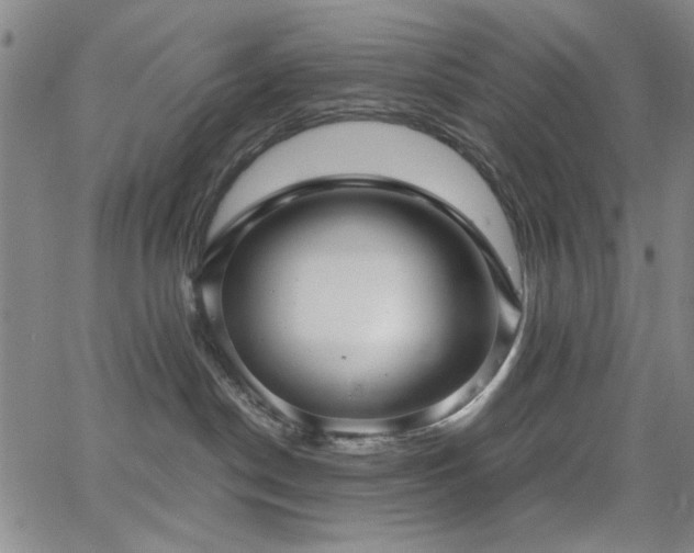 X0000064740190200602101157