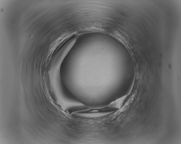 X0000064740193200602101156