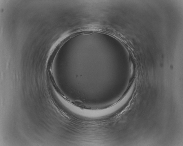 X0000064740200200602101156