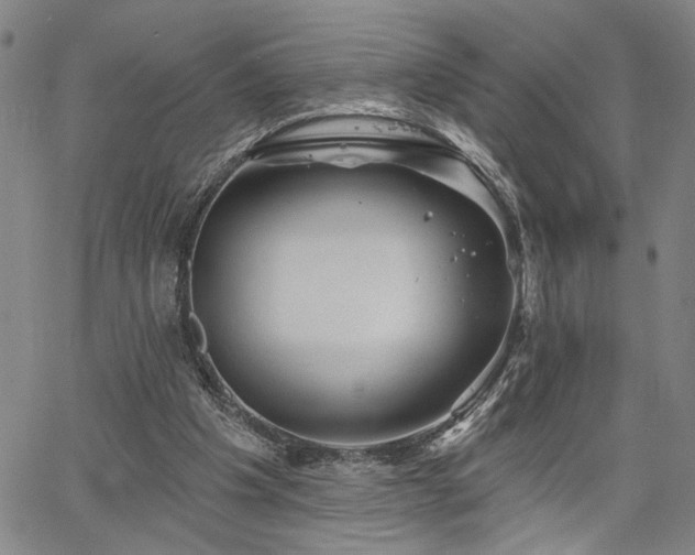 X0000064740201200602101156