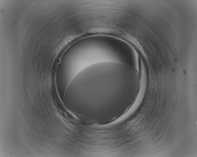 X0000064740204200602101156