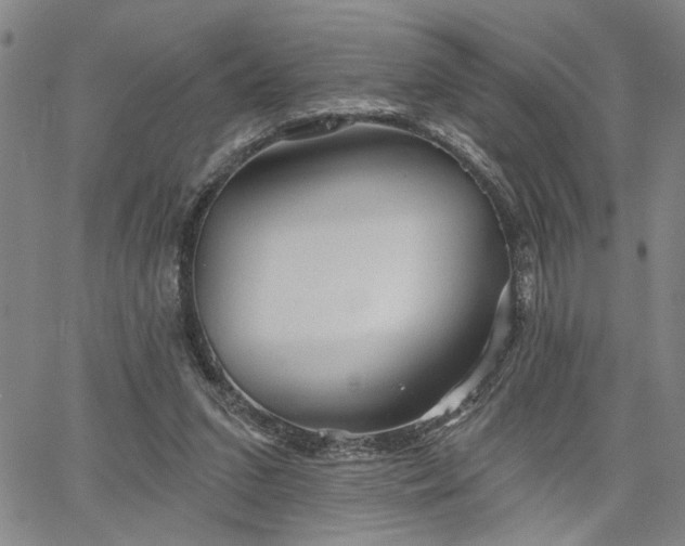 X0000064740207200602101156
