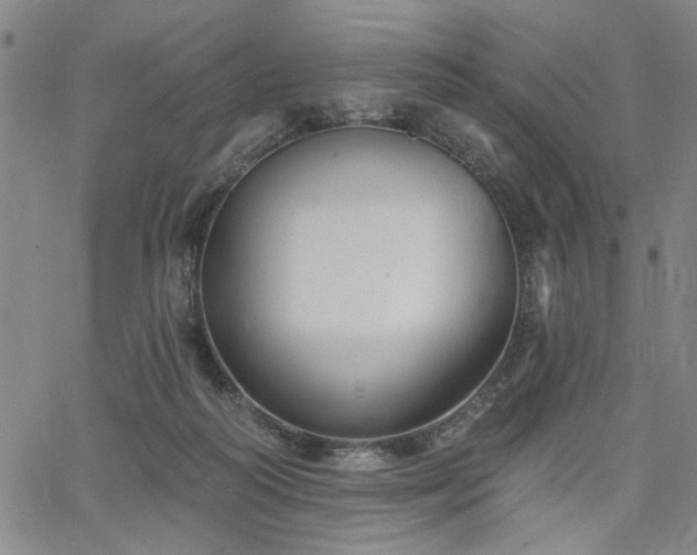 X0000064740218200602101156