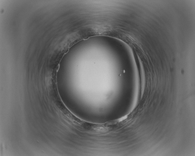 X0000064740221200602101156