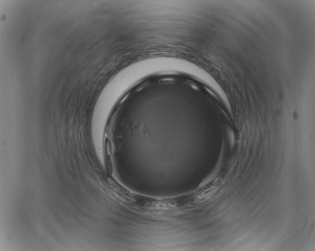X0000064740223200602101156