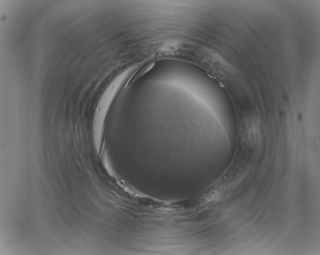 X0000064740224200602101156