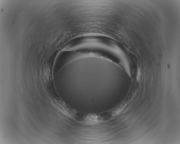 X0000064740227200602101156