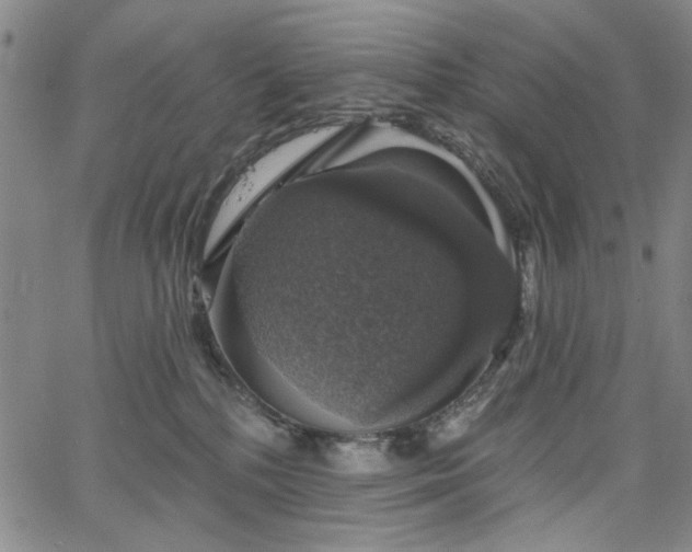 X0000064740232200602101155