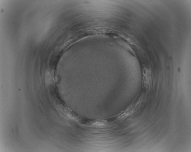 X0000064740236200602101155