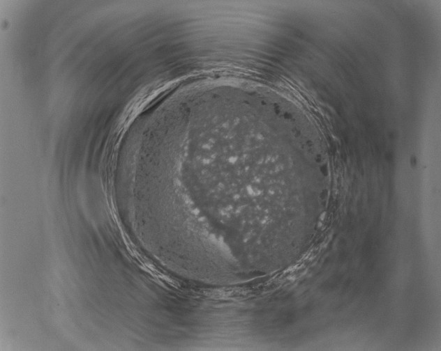 X0000064740241200602101155