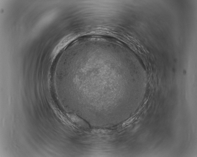 X0000064740242200602101155