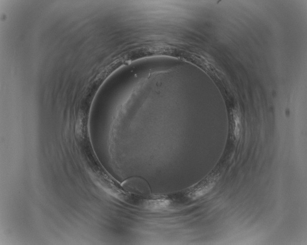 X0000064740266200602101155