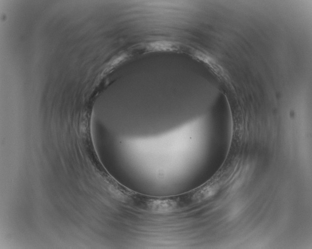 X0000064740277200602101155