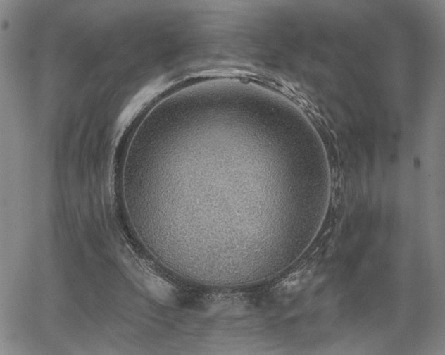X0000064740296200602101154
