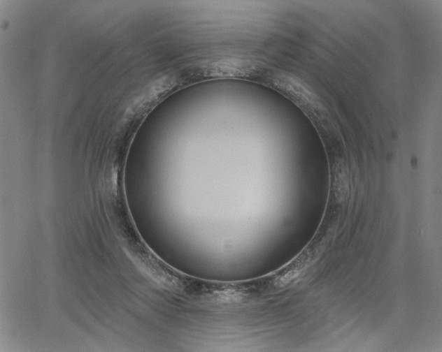 X0000064740310200602101154