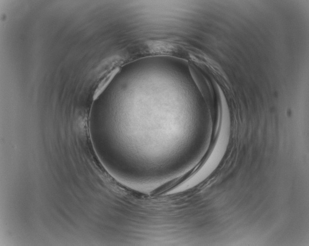 X0000064740329200602101154