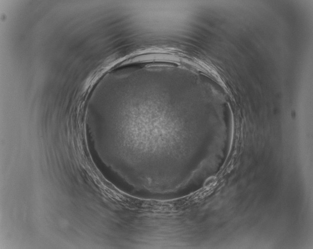 X0000064740337200602101153