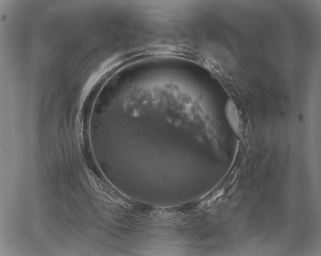 X0000064740343200602101153
