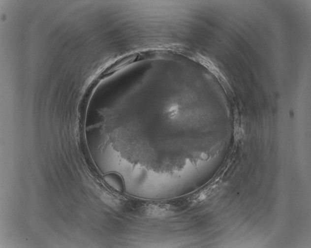 X0000064740346200602101153