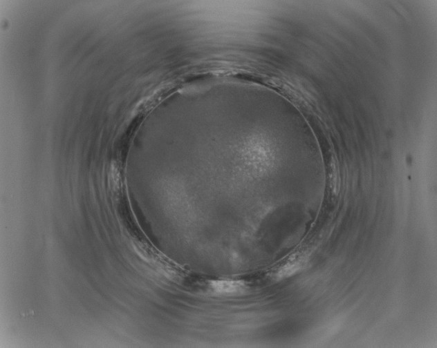 X0000064740371200602101154
