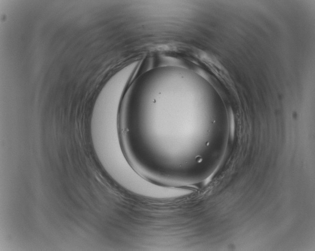 X0000064740375200602101154