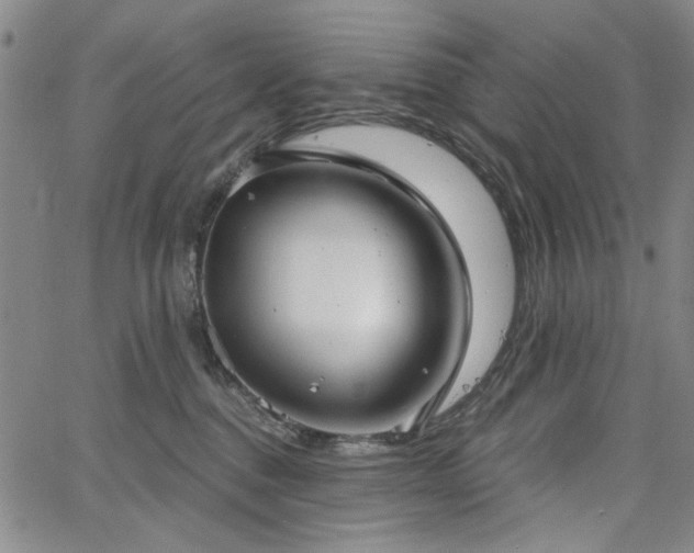 X0000064740376200602101154