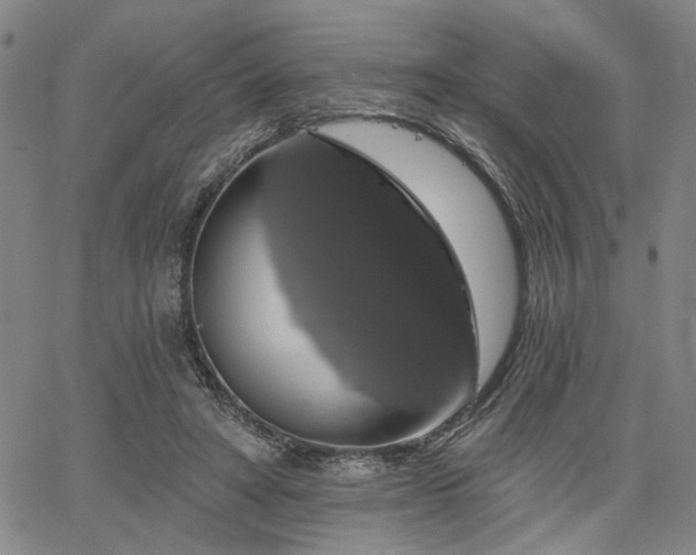 X0000064740402200602101153