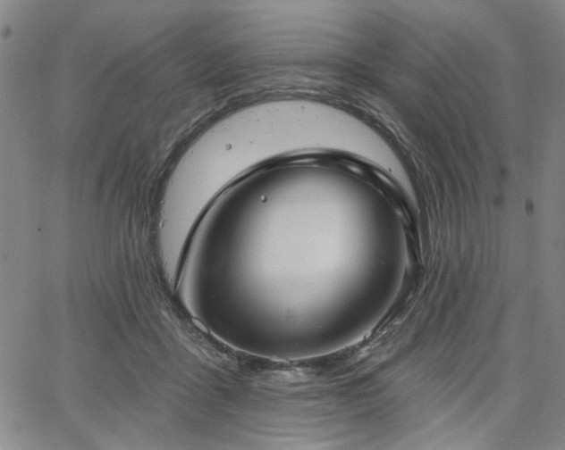 X0000064740411200602101153