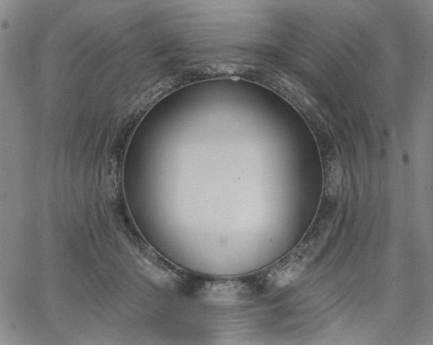 X0000064740414200602101153